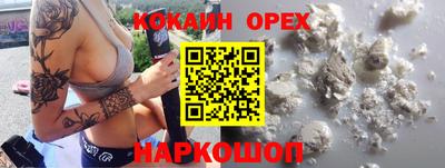 гидра Ставрополь