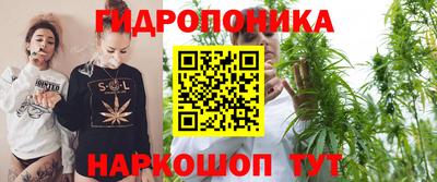 гидра Ставрополь