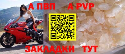 гидра Ставрополь