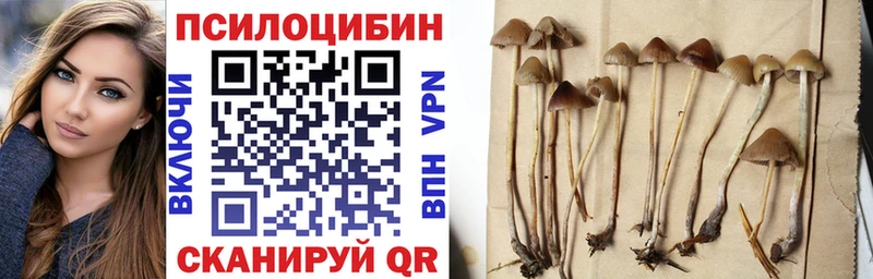 мега tor  Советский  Псилоцибиновые грибы GOLDEN TEACHER 